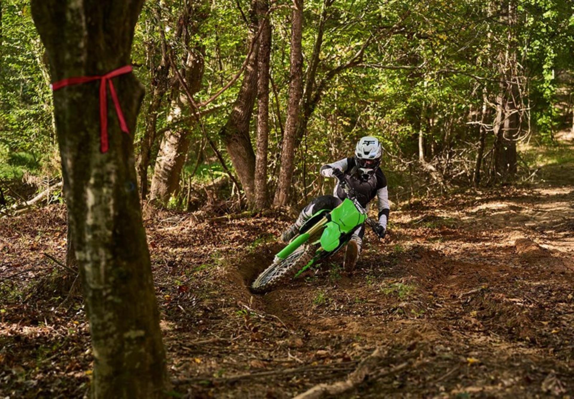 The Kawasaki range of off-road bikes, from kids to race models